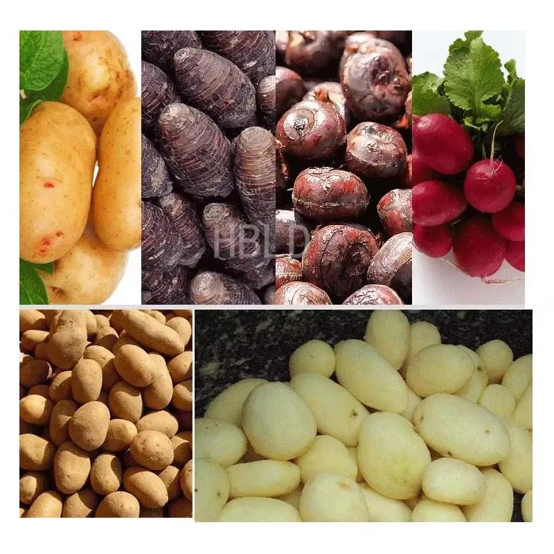 Automatic Electric Potato Peel - مراجعة Commercial Potato Peeler وسعره