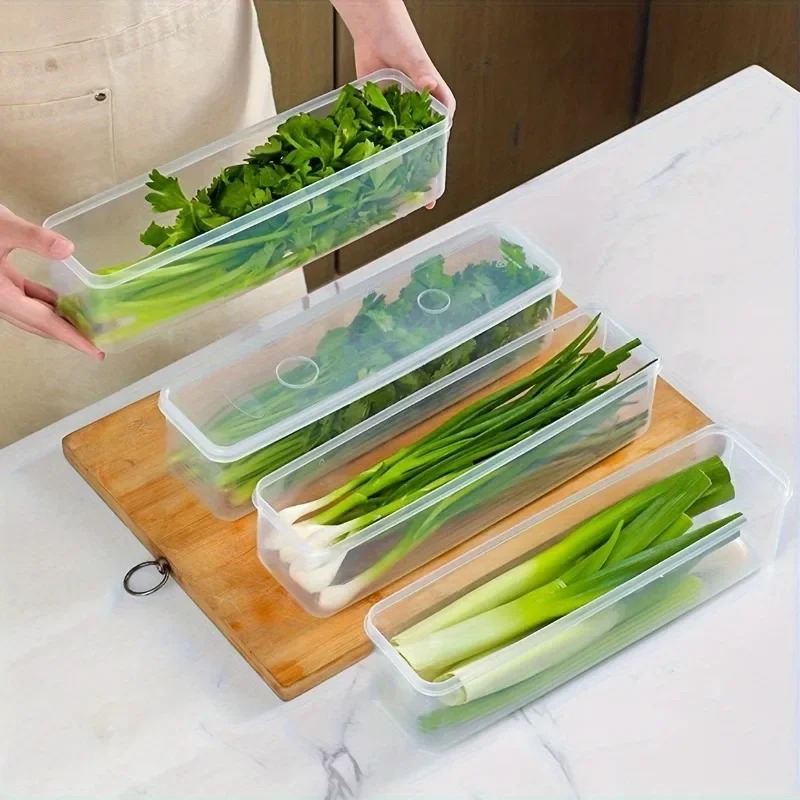 1/2/4Pcs Green Onion Fresh-kee - مراجعة Commercial Kitchen Utensil Organizer وسعره