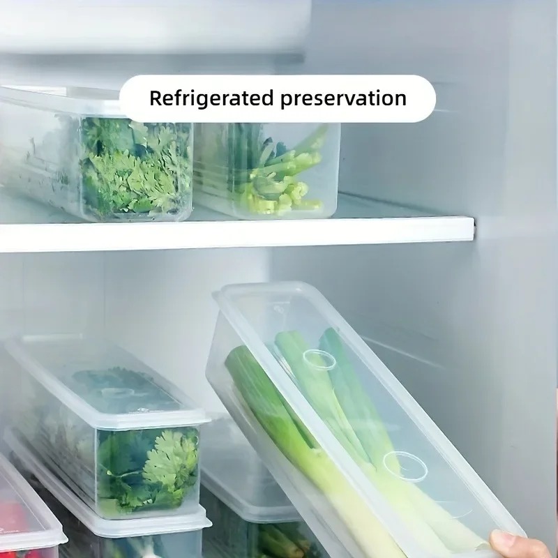 1/2/4Pcs Green Onion Fresh-kee - مراجعة Commercial Kitchen Utensil Organizer وسعره