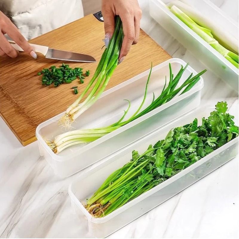 1/2/4Pcs Green Onion Fresh-kee - مراجعة Commercial Kitchen Utensil Organizer وسعره